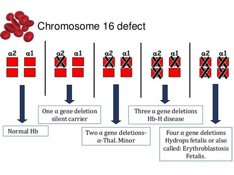 Thalassemia Carrier