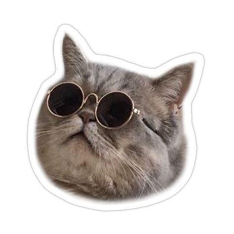 Cool Cat #5 Sticker by Elisecv