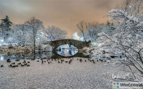 This official "Bing in Winter" Wallpaper collection is just awesome