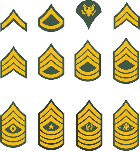 United States US Army Rank Insignia Chevrons All Colors | Etsy