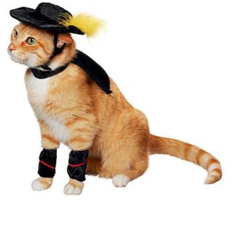 15 Purrfect Halloween Costumes for Your Cat | Cat halloween costume, Pet halloween costumes, Dog ...