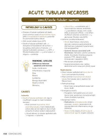 Acute tubular necrosis: Video, Causes, & Meaning | Osmosis