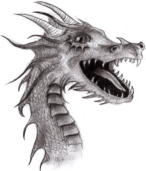 Free Dragon Drawing, Download Free Dragon Drawing png images, Free ClipArts on Clipart Library