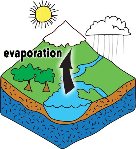 The Hydrologic Cycle - What Is It & How Does It Work? – The Groundwater ...