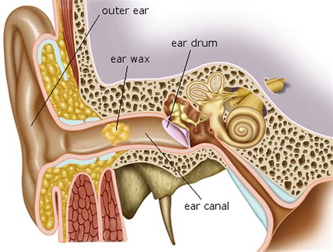 Ear Wax Blockage - Causes, Symptoms, How to Remove Ear Wax