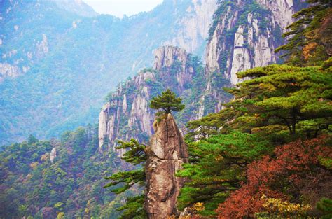 Huangshan, China - I like the pine trees here.（4928X3264) : r/EarthPorn