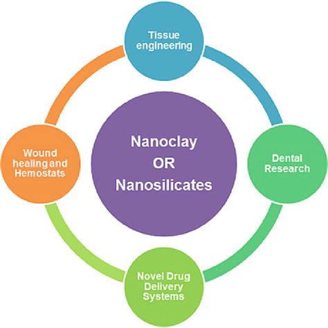 Various biomedical applications of nanoclays/nanosilicates | Download ...