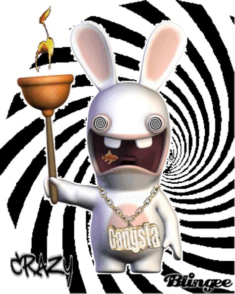 Crazy Rabbit ! Picture #114745497 | Blingee.com