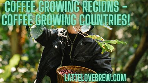 Coffee Growing Regions - Coffee Growing Countries! - Latte Love Brew