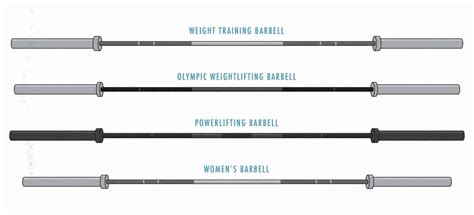 Gym Barbell Length at Lee Patterson blog