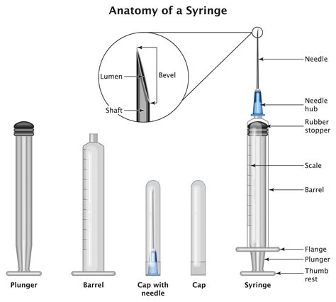 Dental Syringe Types at eugenedsmitho blog