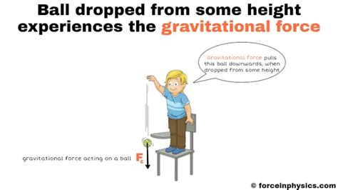 Gravity - Force in Physics