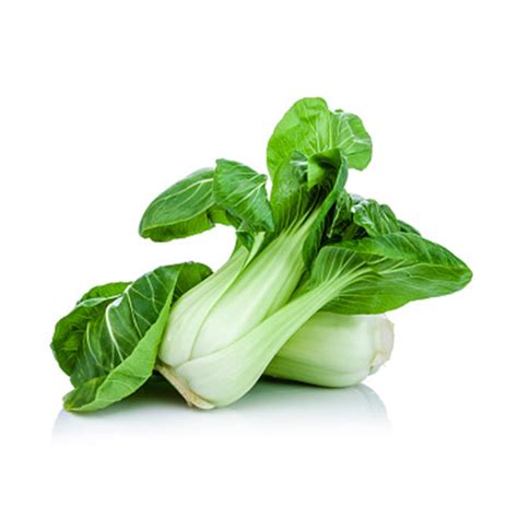 Bok Choy - Vertical Farms Ltd