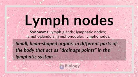 Nodes Meaning