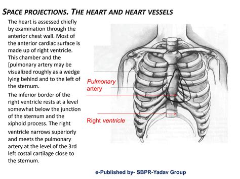 SOLUTION: Heart heart vessels apex beat and percussion and auscultation ...