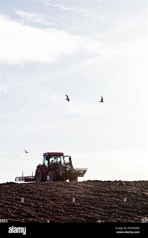 Tractor plowing field Stock Photo - Alamy