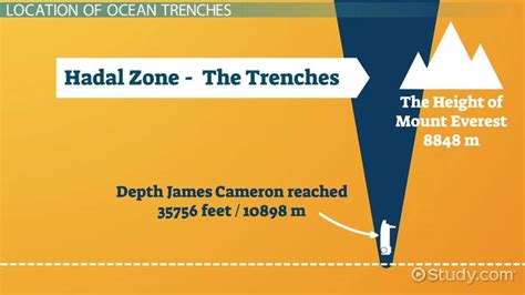 Deep Ocean Trench | Definition, Formation & Examples - Video & Lesson Transcript | Study.com