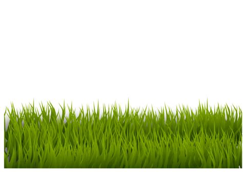 Grass 1 - Openclipart