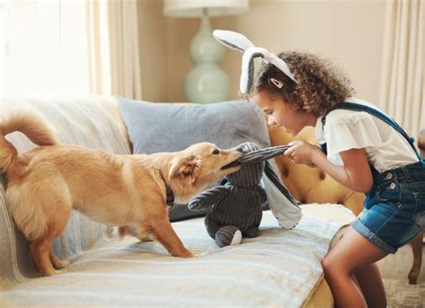 How to Teach Kids to Interact With Pets | PetMD