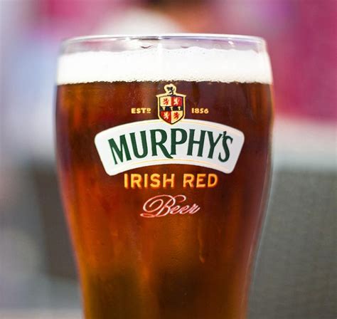 Top 10 Best Ale Beer Brands To Try in 2023