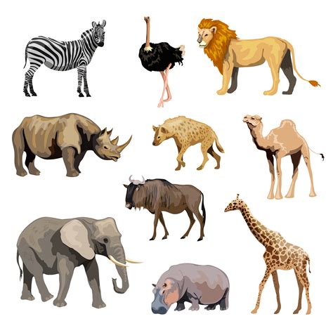 Wild African Animals Set 463326 Vector Art at Vecteezy