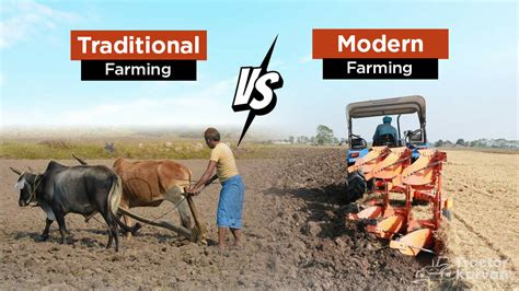 Difference Between Traditional Farming Vs. Modern Farming