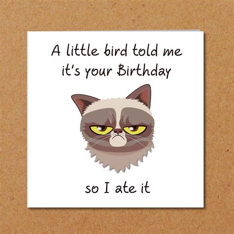 Grumpy Cat Birthday Card for Anyone Who Loves Cats Funny, Humorous, Fun ...