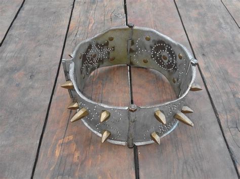 Spiked dog-collar (protection against wolves) - Catawiki