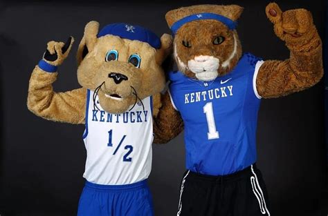 Why is Kentucky Mascot a Wildcat?