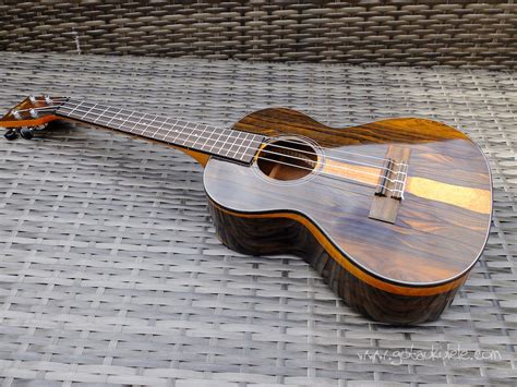 Kala KA-ZCT-T Ziricote Tenor Ukulele REVIEW