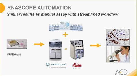 Become an RNAscope Expert - RNAscope® Data Interpretation Webinar - YouTube