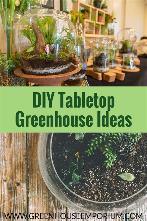 3 DIY Tabletop Greenhouse Ideas | Greenhouse Emporium