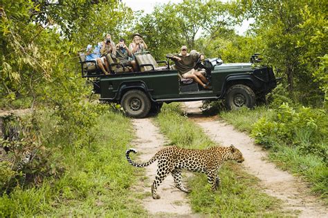 1. Go on an epic African safari - International Traveller Magazine