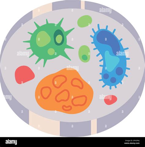 bacterias on petri dish Stock Vector Image & Art - Alamy