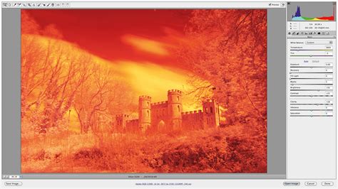 Infrared photography using a filter: tips and techniques | Digital Camera World