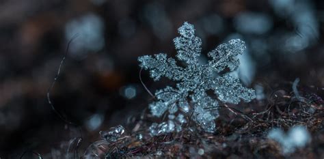 Macro Snowflake Photography Pictures, Photos, and Images for Facebook, Tumblr, Pinterest, and ...