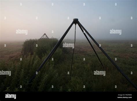 The LOFAR radio telescope Stock Photo - Alamy