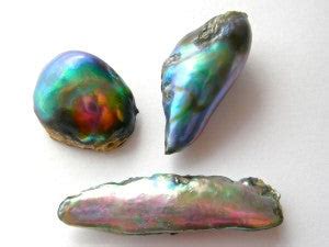 Abalone Pearls– Kojima Pearl