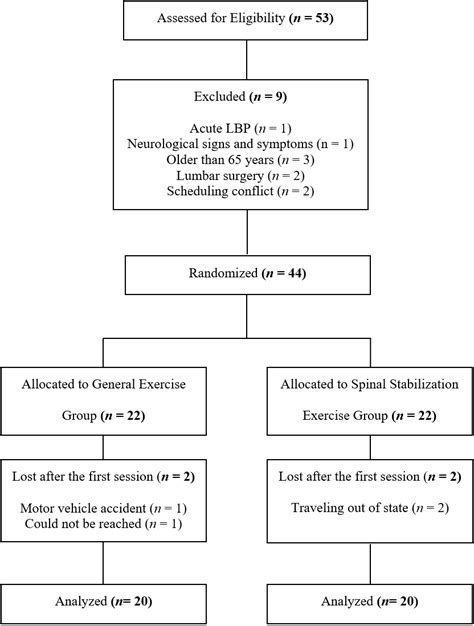 Effectiveness of Spinal Stabilization Exercises on Dynamic Balance in Adults with Chronic Low ...