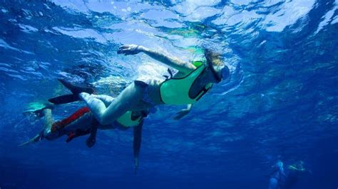 [SALE] 15% Off Snorkeling Adventure at Pigeon Island National Park from ...