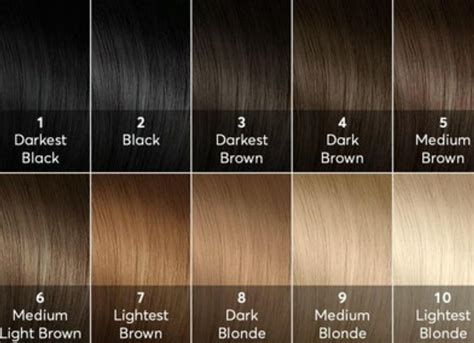 Pin by Melissa Mills on Hair color level chart | Hair levels, Hair ...