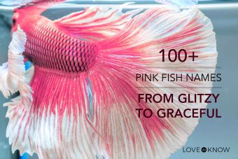 100+ Pink Fish Names From Sweet to Vibrant | LoveToKnow Pets