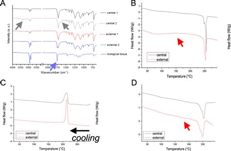 A, ATR-FTIR spectra collected in different regions of the central and... | Download Scientific ...