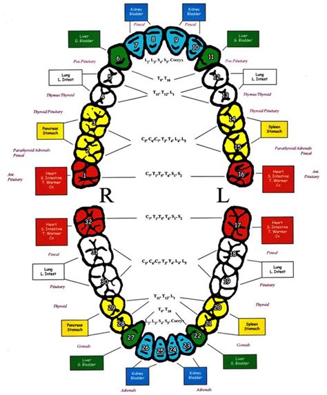 Pin on Holistic healing ways