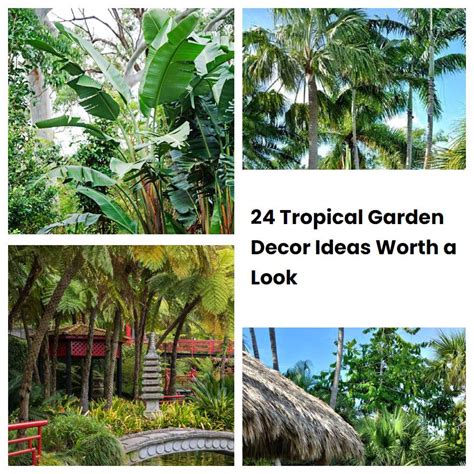 24 Tropical Garden Decor Ideas Worth a Look | SharonSable