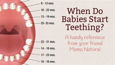 When Do Babies Start Teething? And other baby teething Answers