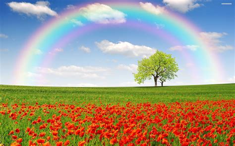 Rainbow Landscape Wallpapers - Top Free Rainbow Landscape Backgrounds - WallpaperAccess