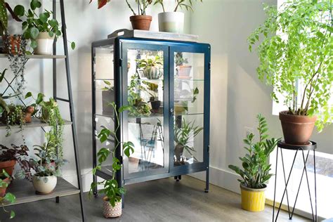 7 Products You Need to Make an IKEA Greenhouse