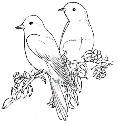 Bird Outline Drawing at GetDrawings | Free download