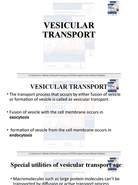 CH - 6, Vesicular Transport | PDF | Vesicle (Biology And Chemistry) | Cell Membrane